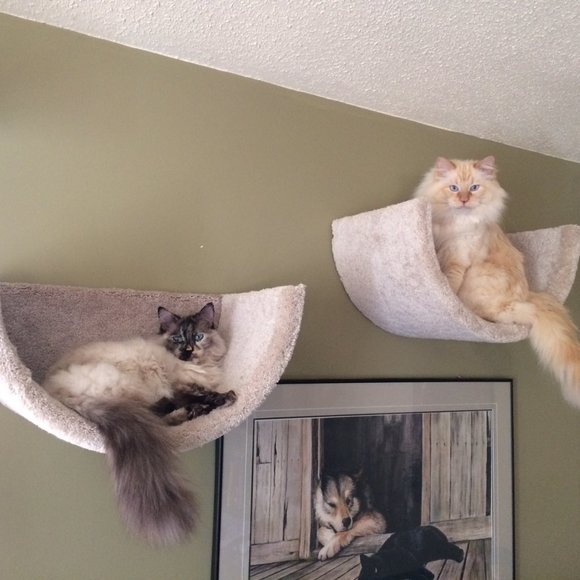 New Wall mounted cat bed - Picture 12 of 16